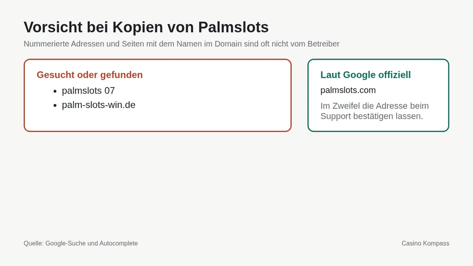 Warnung vor Kopien und Spiegelseiten von Palmslots