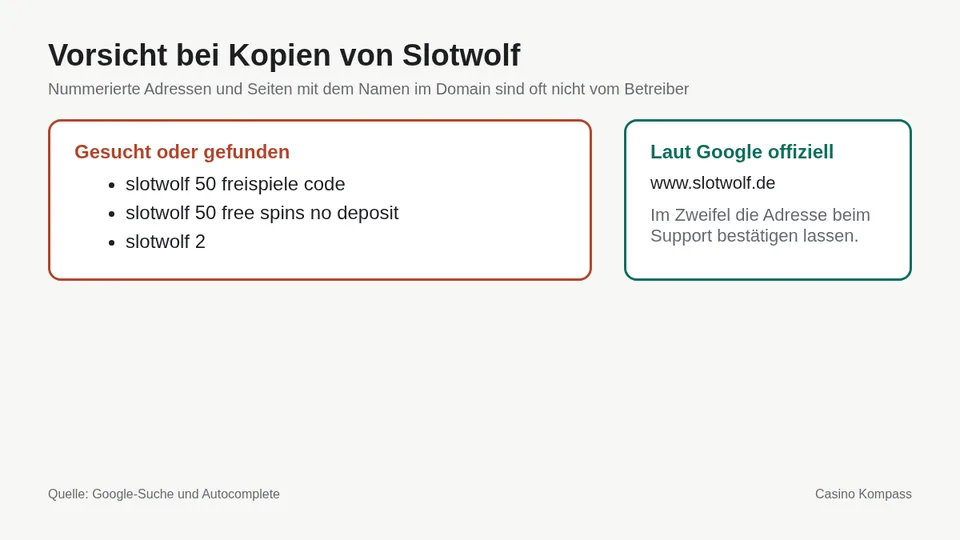 Warnung vor Kopien und Spiegelseiten von Slotwolf