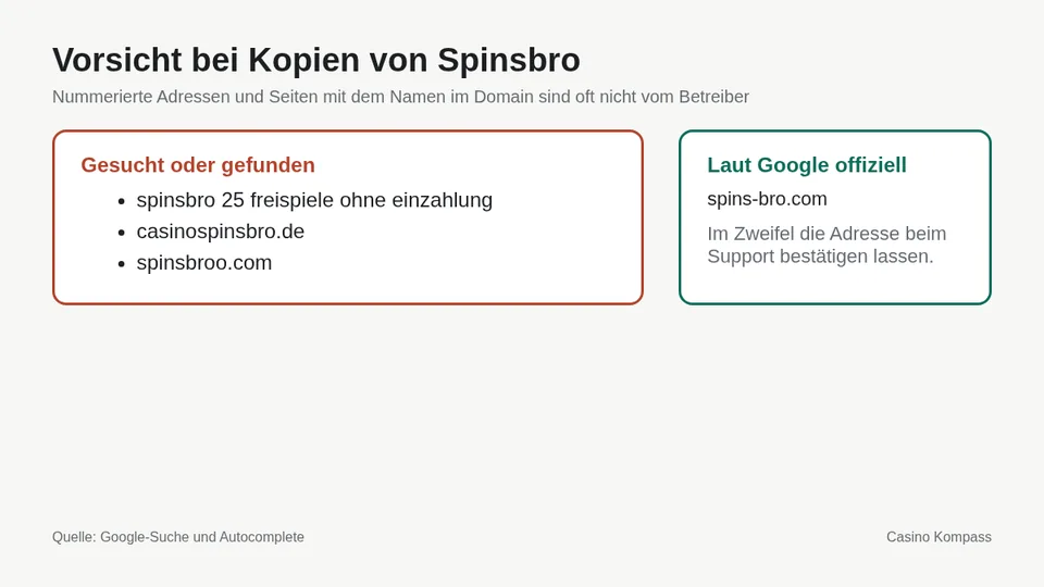 Warnung vor Kopien und Spiegelseiten von Spinsbro