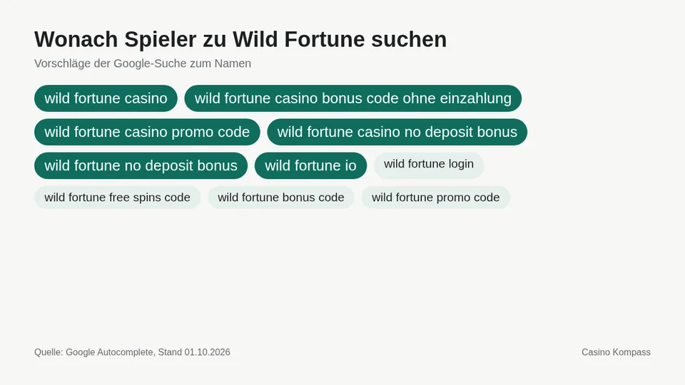 Google-Suchvorschläge zu Wild Fortune