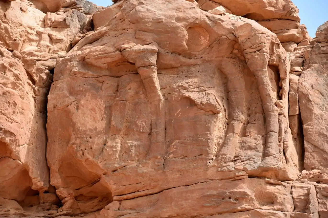 Lebensgroße Kamelsculpturen in Saudi-Arabien sind älter als die Pyramiden und Stonehenge: Analysen zeigen, dass sie Tausende von Jahren älter sind als bisher angenommen