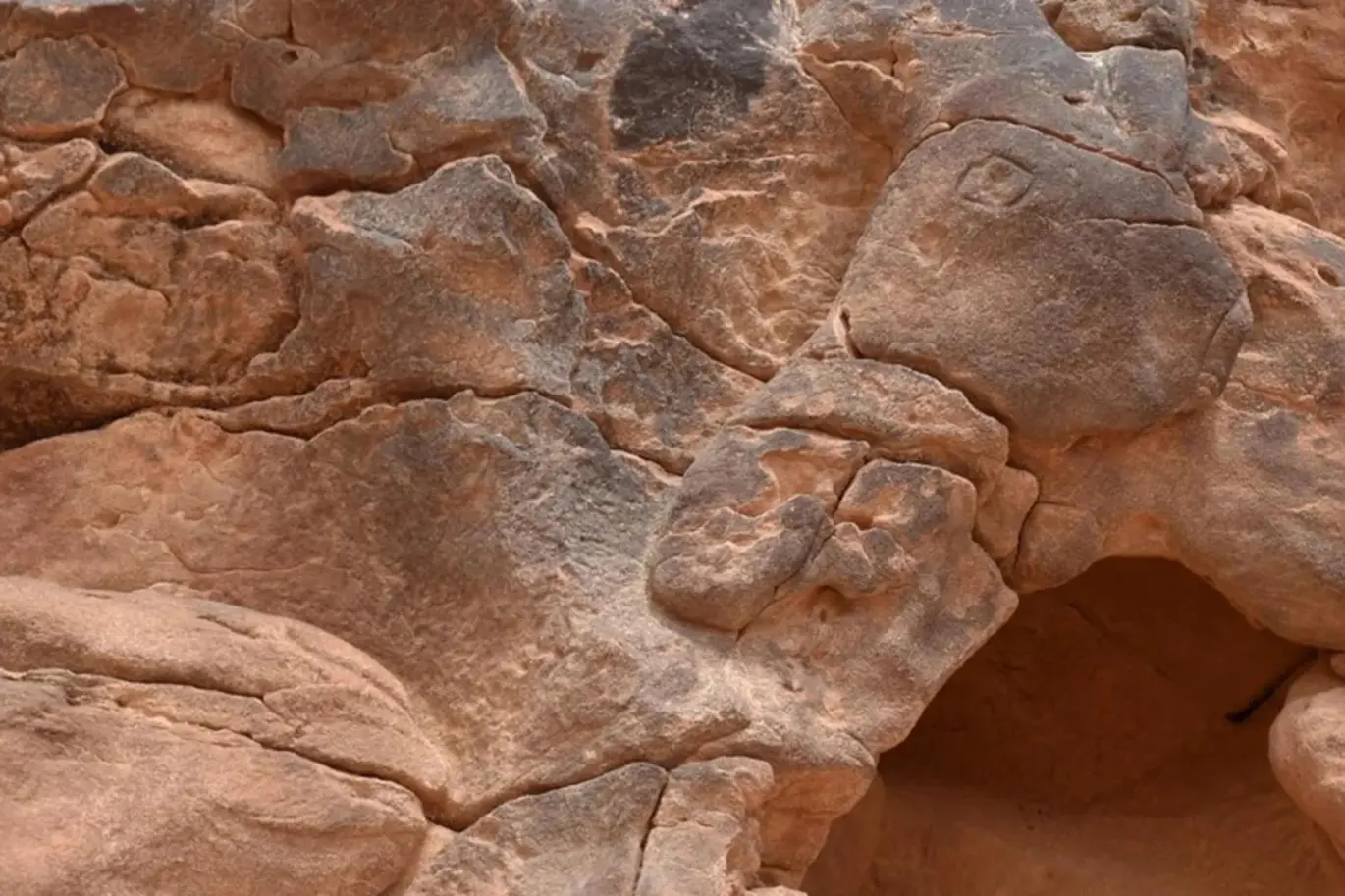 Lebensgroße Kamelsculpturen in Saudi-Arabien sind älter als die Pyramiden und Stonehenge: Analysen zeigen, dass sie Tausende von Jahren älter sind als bisher angenommen