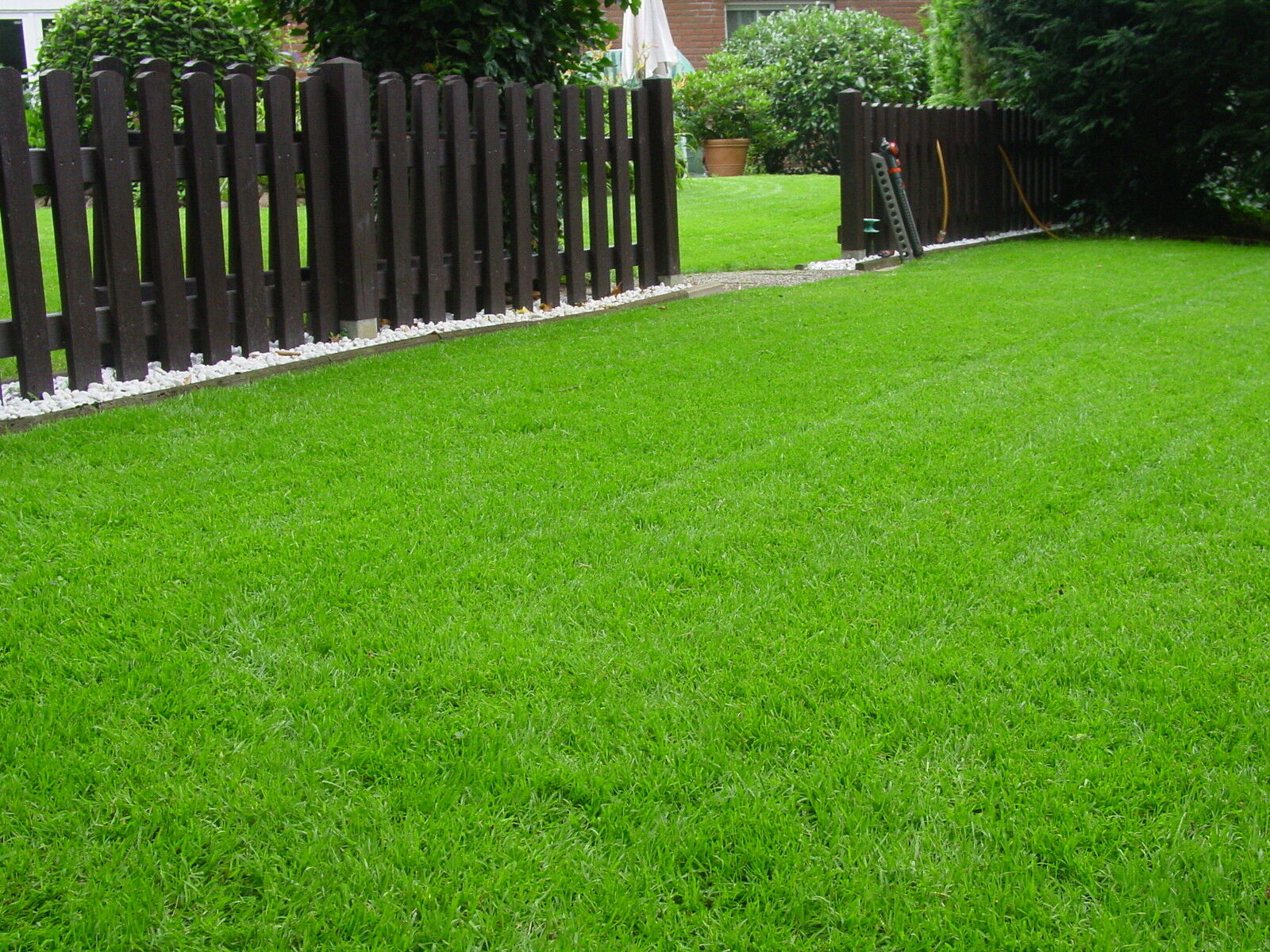 Kümmern Sie sich im Herbst um Ihren Rasen. Das Gras wird dicht und grün sein