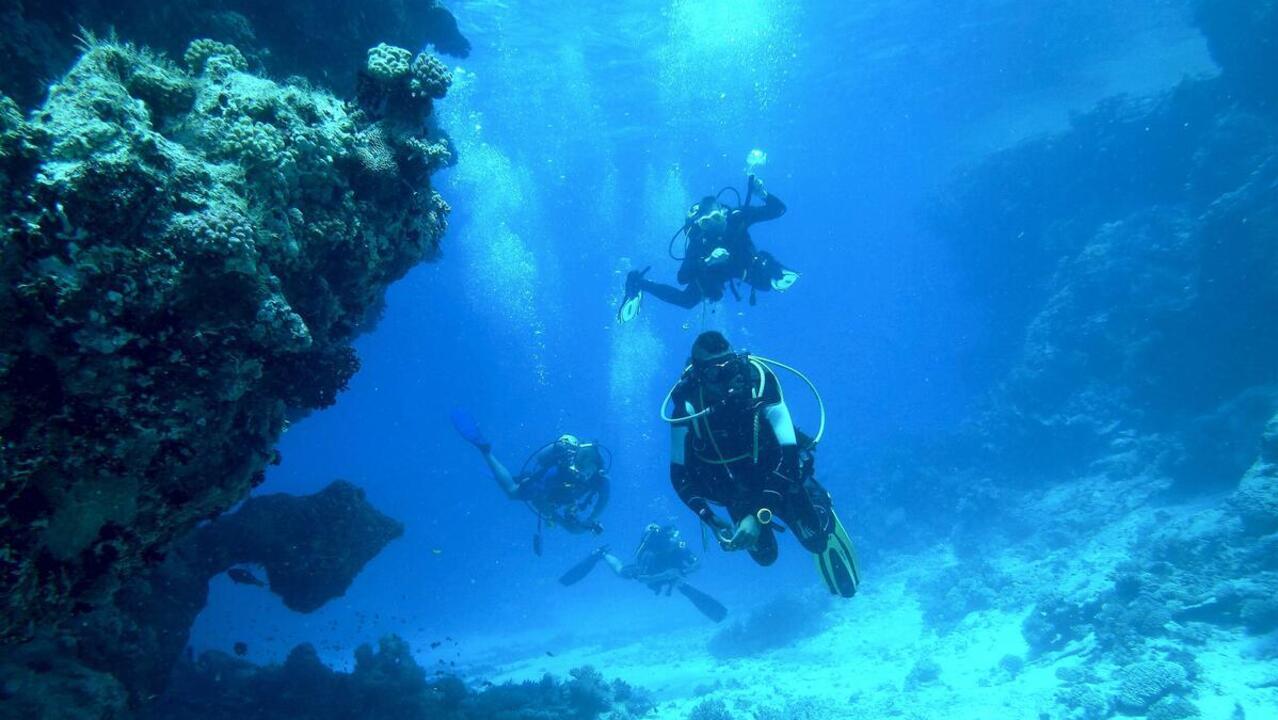 Beim Tauchen vor der Küste wurde zufällig eine im Ozean versunkene Siedlung aus der Steinzeit entdeckt